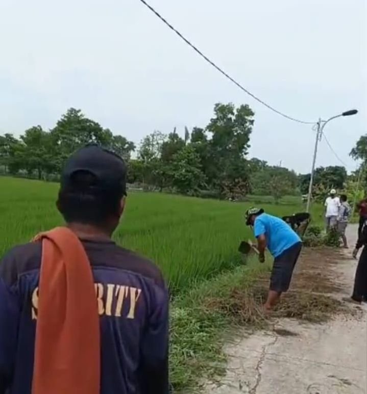 Lingkungan Bersih, Warga Pancakarya Fokus Rapikan Jalan Poros Desa