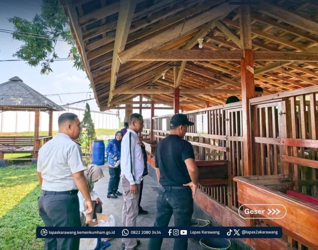 Laskar Farm Lapas Karawang Tunjukkan Perkembangan Positif dalam Budidaya Ternak