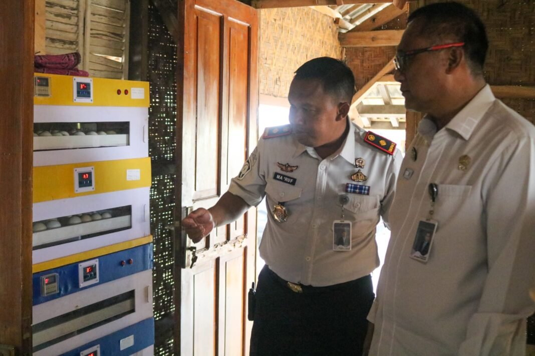 Dukung Program Akselerasi Kemenimipas, Lapas Karawang Kembangkan Ekosistem Ketahanan Pangan Terintegrasi