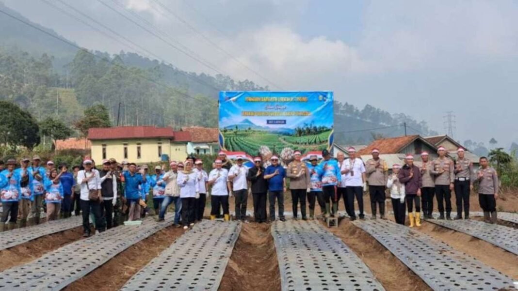 Pemkab Garut Dukung Penanaman Bawang Putih 20,8 Hektare untuk Perkuat Ketahanan Pangan